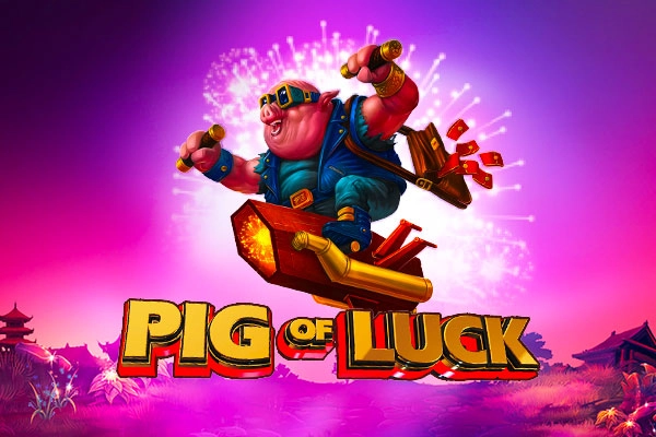02072 pig of luck