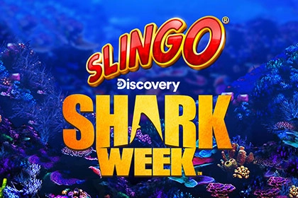 08130 slingo shark week