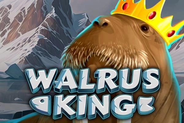 15548 walrus king
