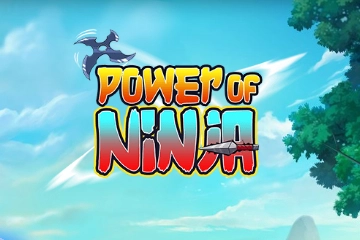 18338 power of ninja